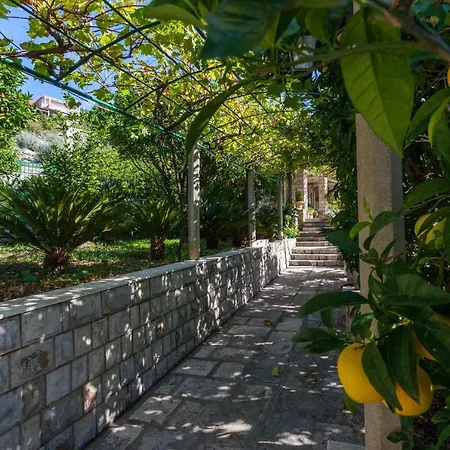 Διαμέρισμα Aska Lopud