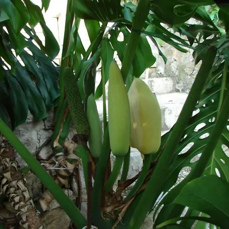 Aska 아파트 로푸드