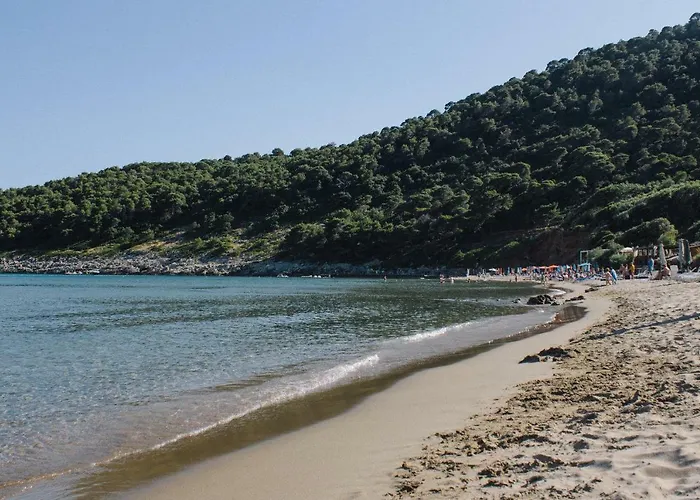 Διαμέρισμα Aska